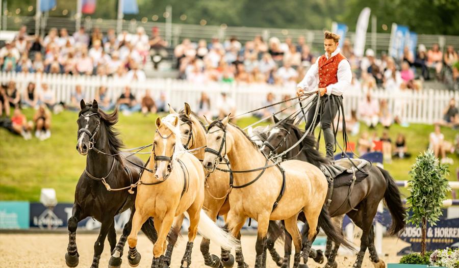 Bolesworth International